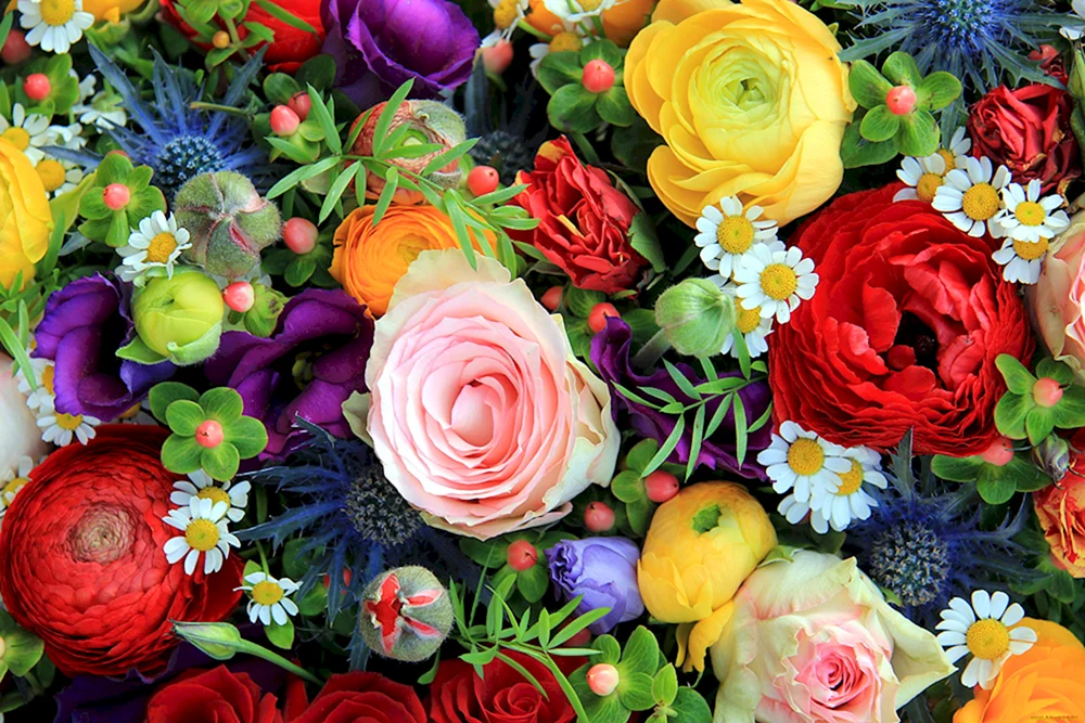 Chrysanthemen Lilien Rosen Iris Freesien