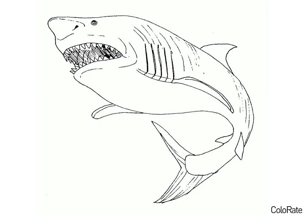 Hai Malbuch