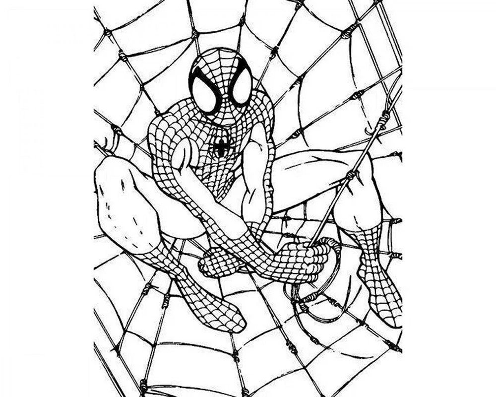 Malbuch Sam Raimi's Spider-Man