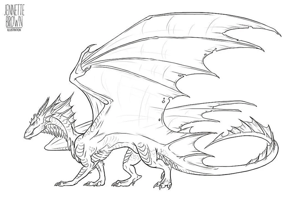 Drachen Zeichnungen