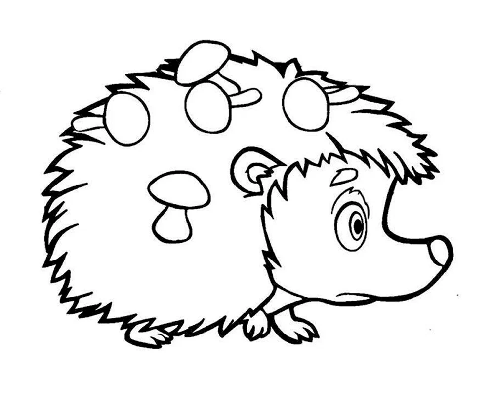 Igel Zeichnung