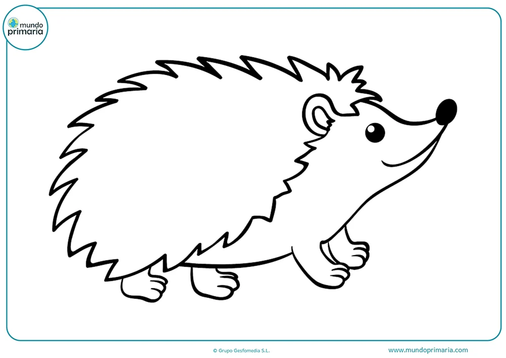 Igel zeichnen