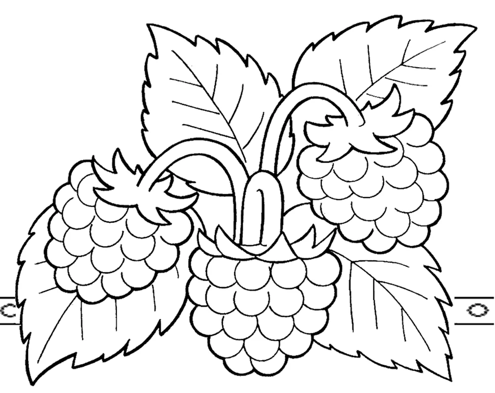 Malbuch Beeren