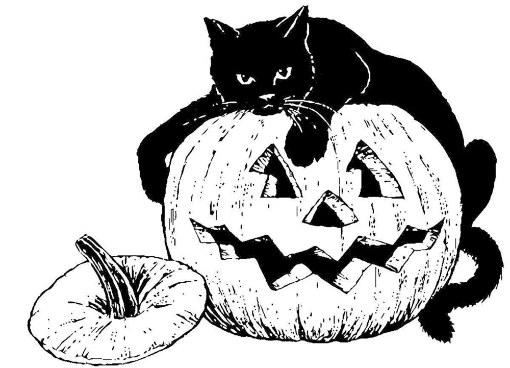 Halloween ausmalen
