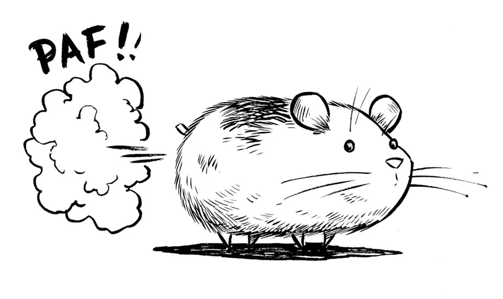 Junger Hamster Referenz