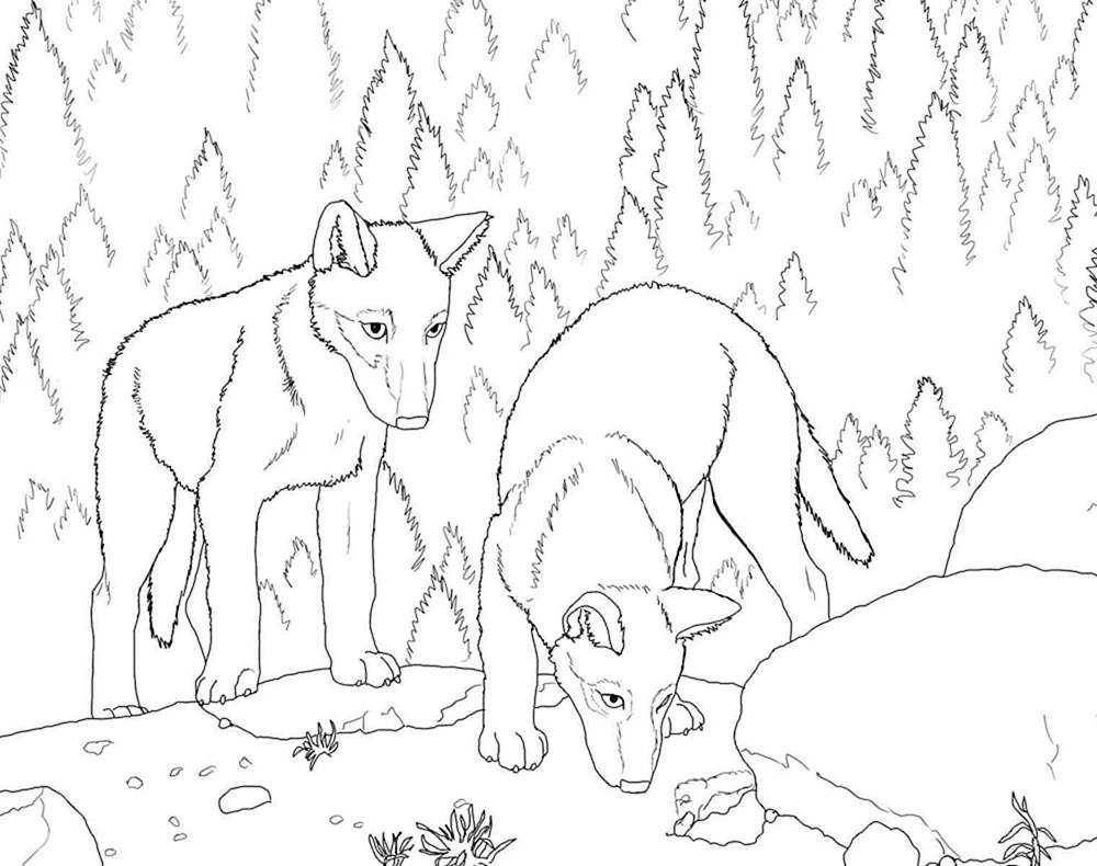 Wald ausmalen für Kinder