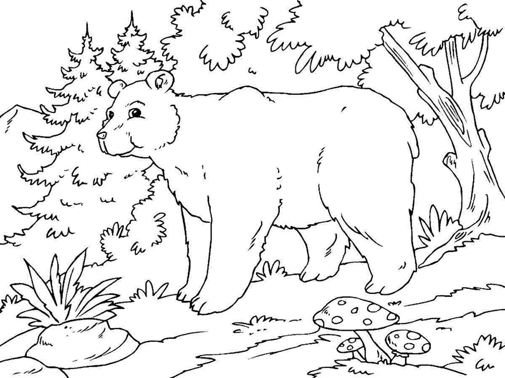Wolf ausmalen