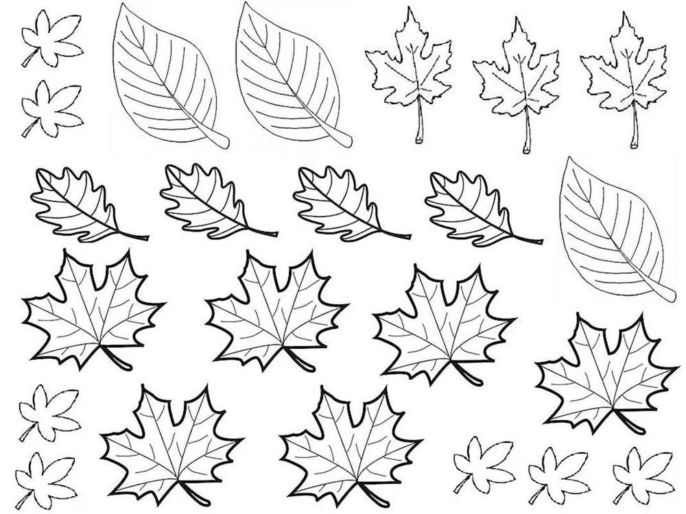 Herbstblätter zum Ausmalen für Kinder