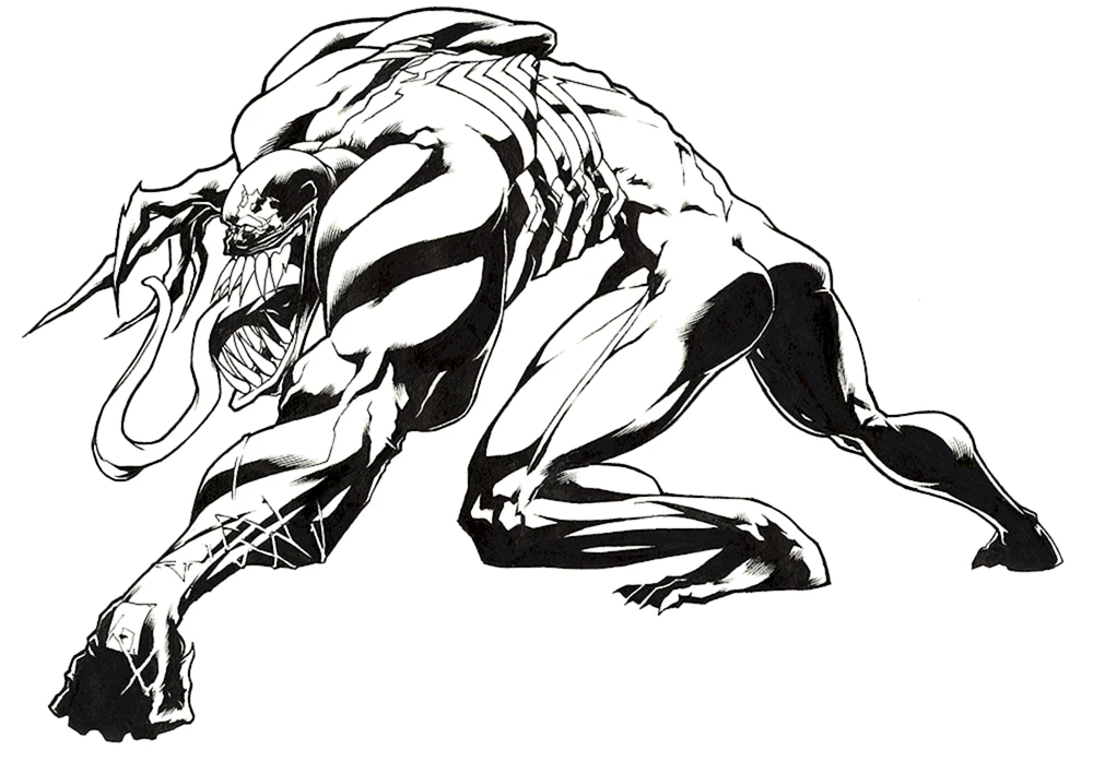 Spider-Man und Venom Marvel Malbuch