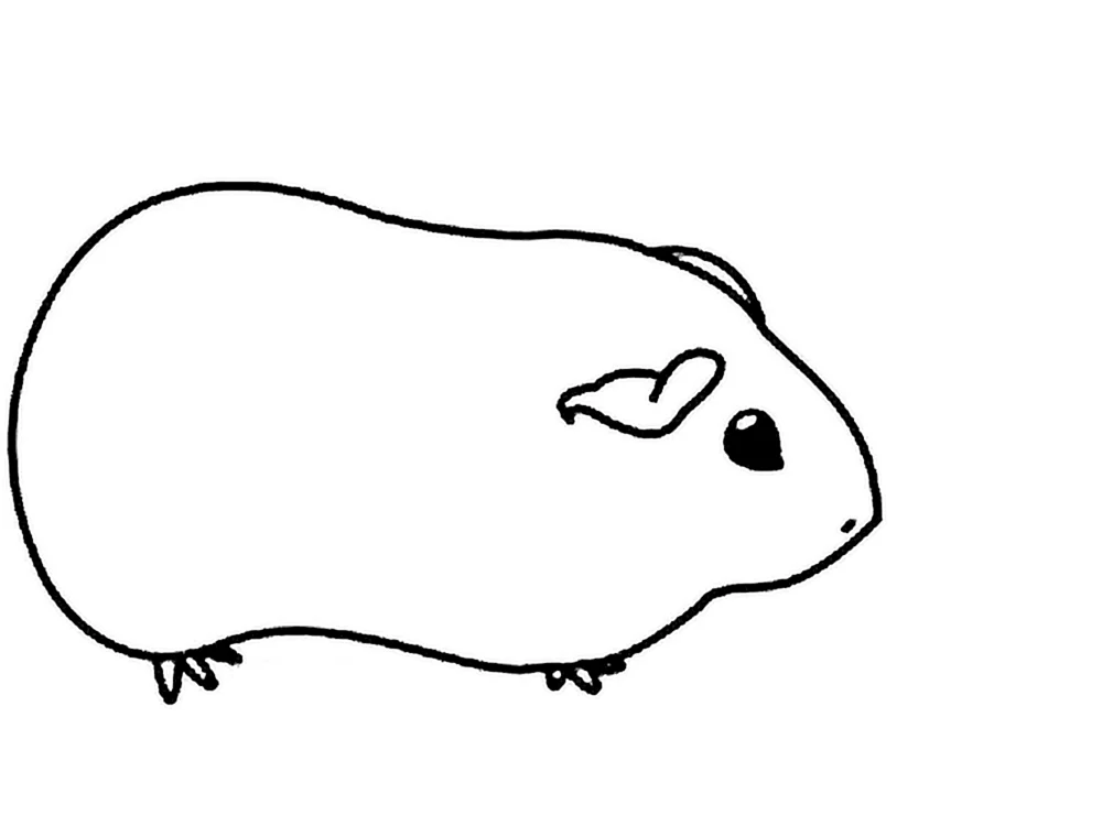 Hamster-Cartoon