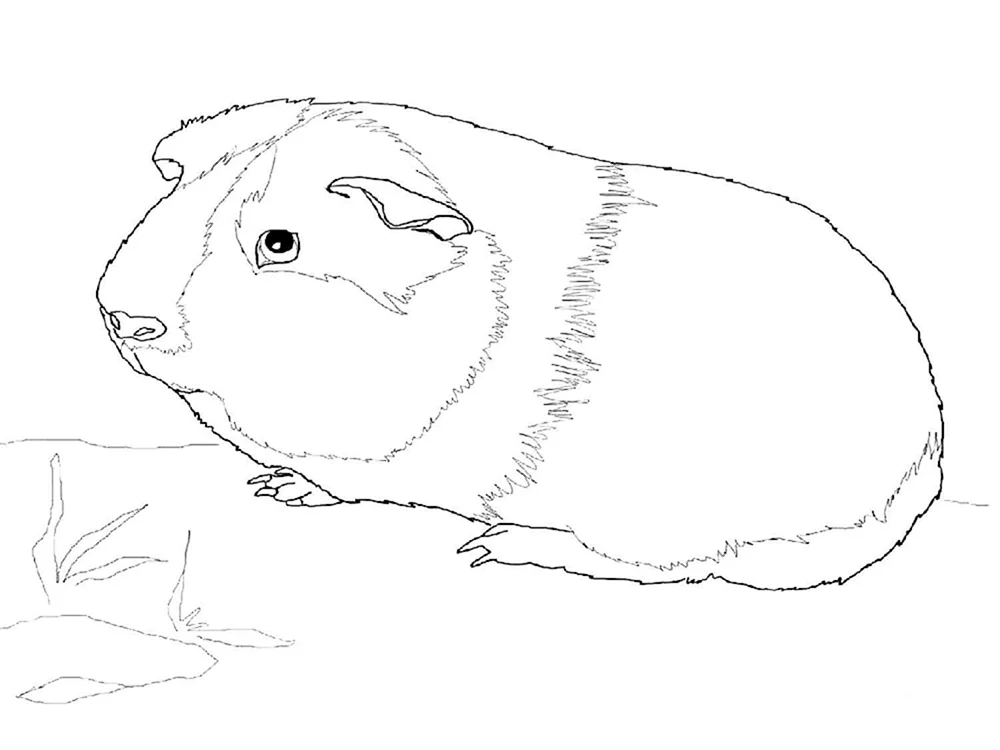 Hamstermalerei für Kinder