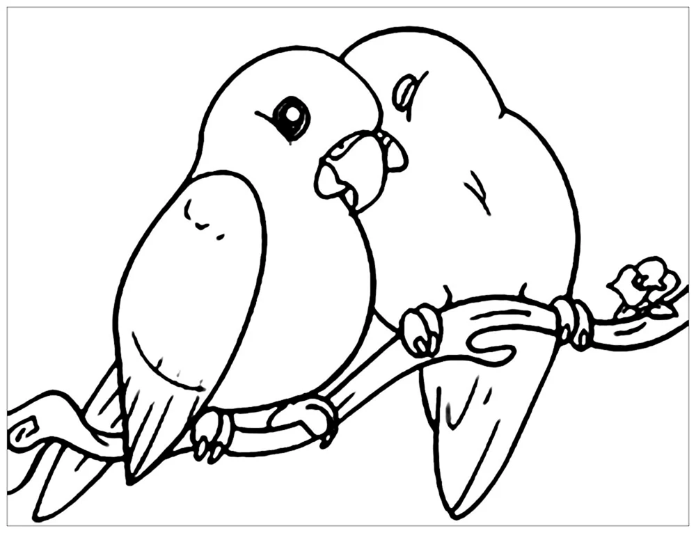 Vogelzeichnung