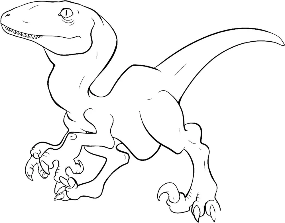 Raptor Blue Malbuch