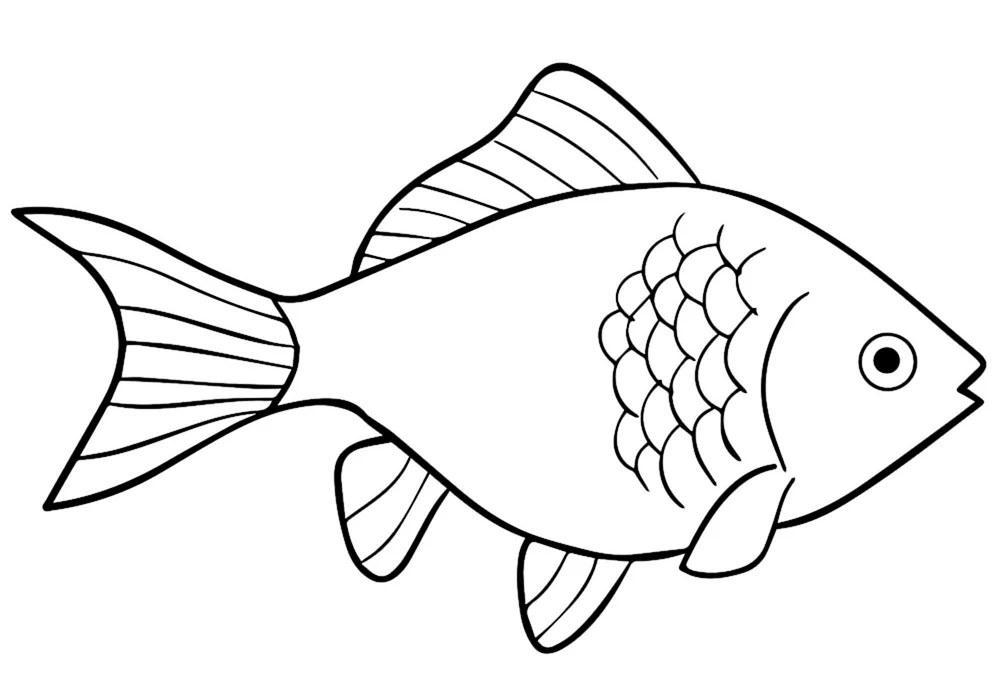 Fischzeichnung