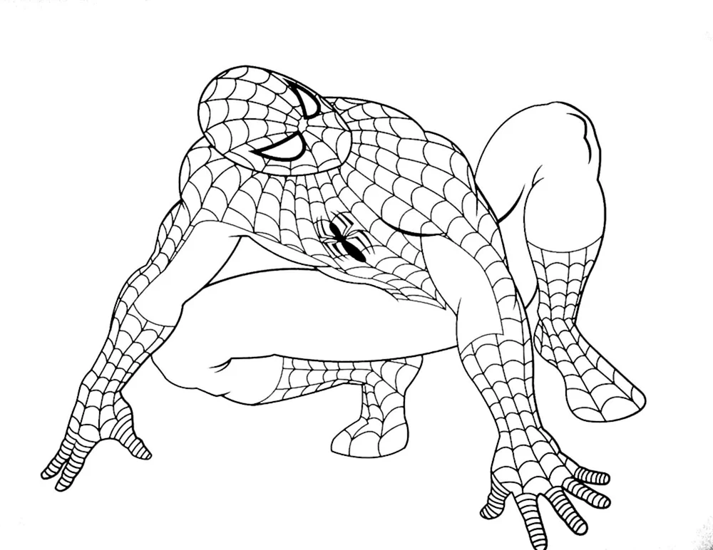 Malbuch Spider-Man und Venom