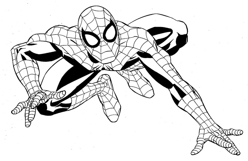 Spider-Man Malbuch