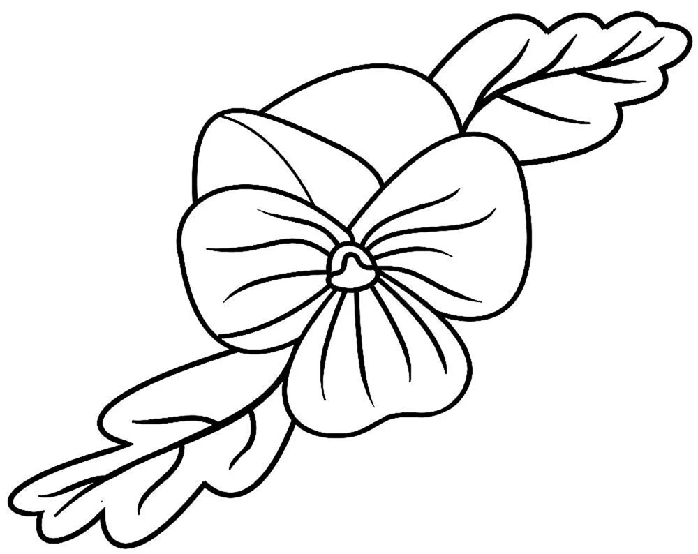 Blumen zeichnen