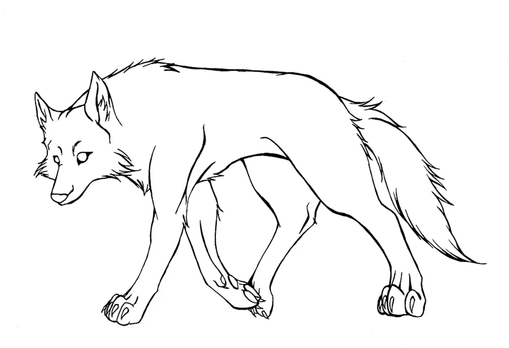Wolf Zeichnung