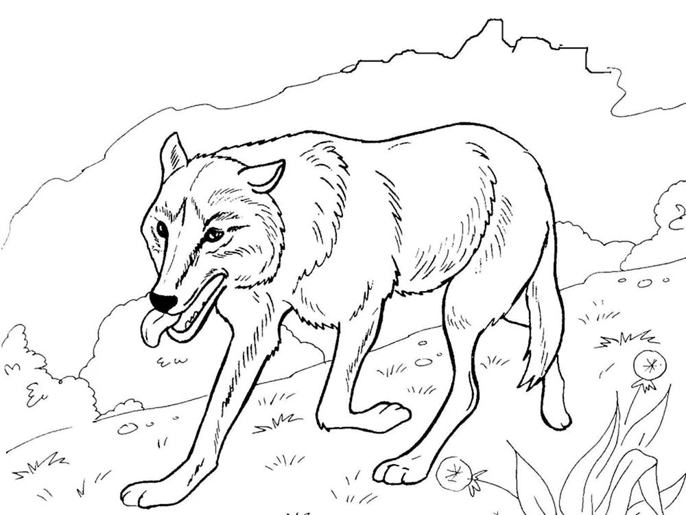 Wolf ausmalen