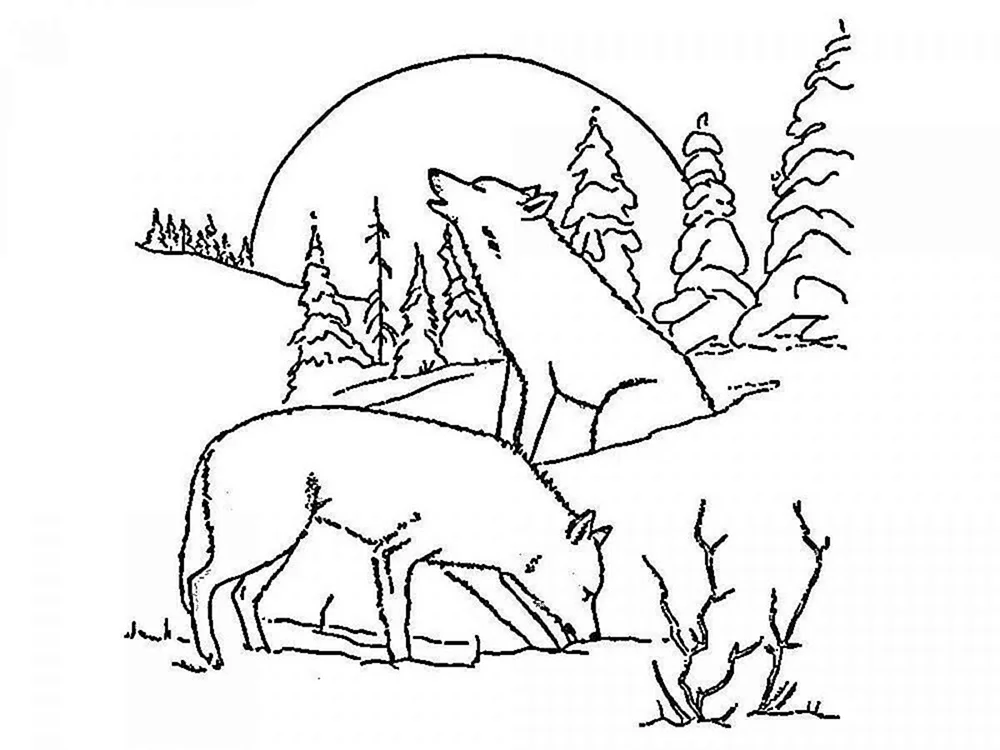 Wolf ausmalen