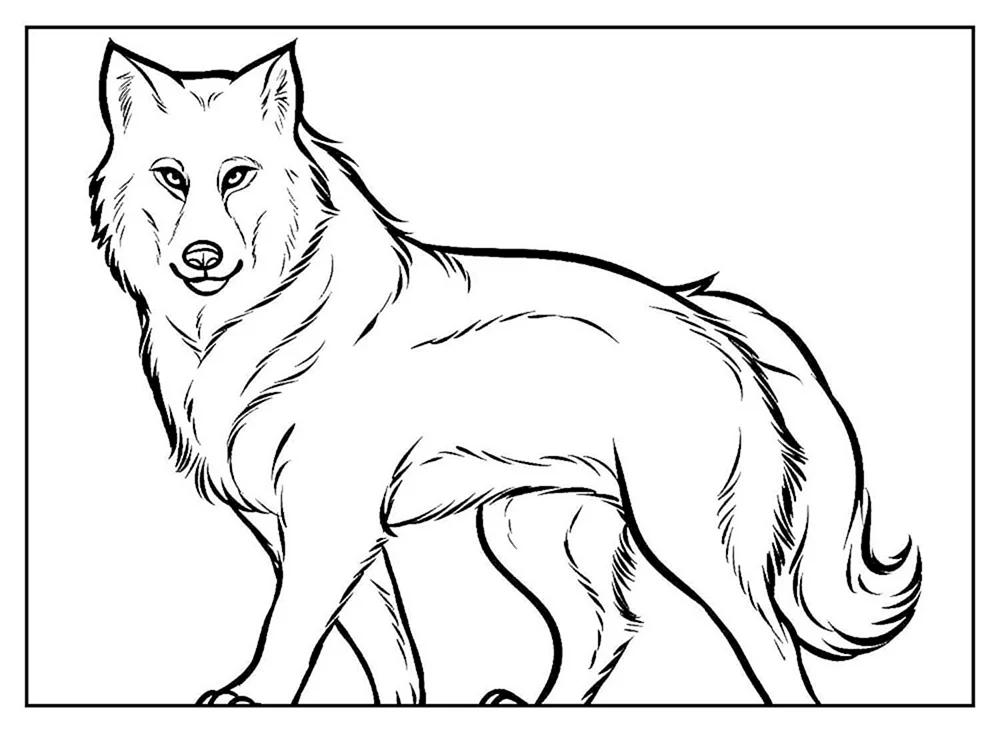 Wolf Ausmalen