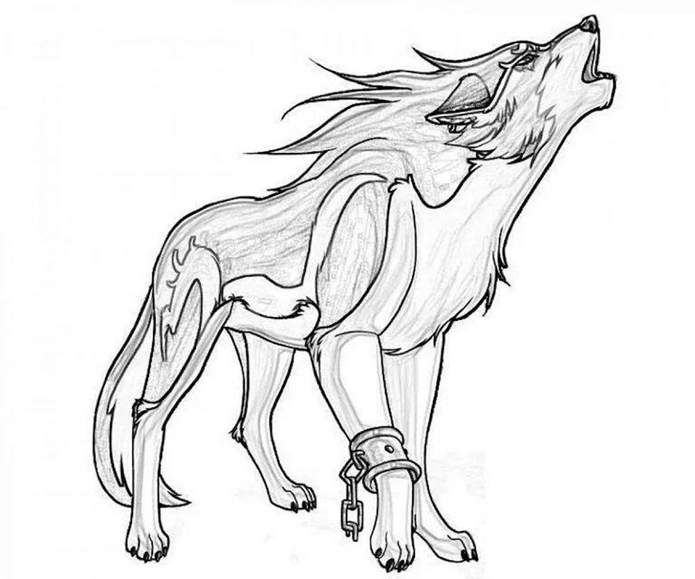 Wolf Ausmalen