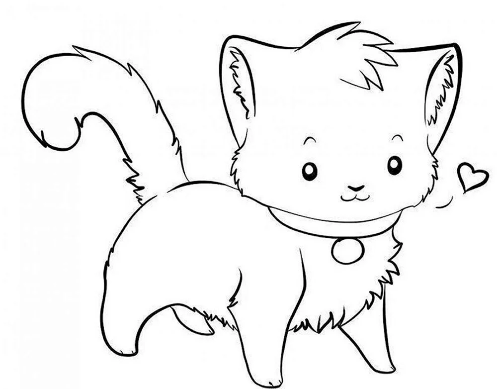 Schottische Hängeohrkatze