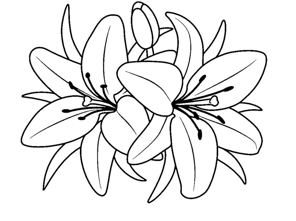 Blumen ausmalen