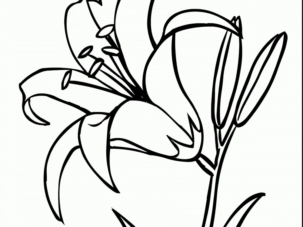 Blumen ausmalen