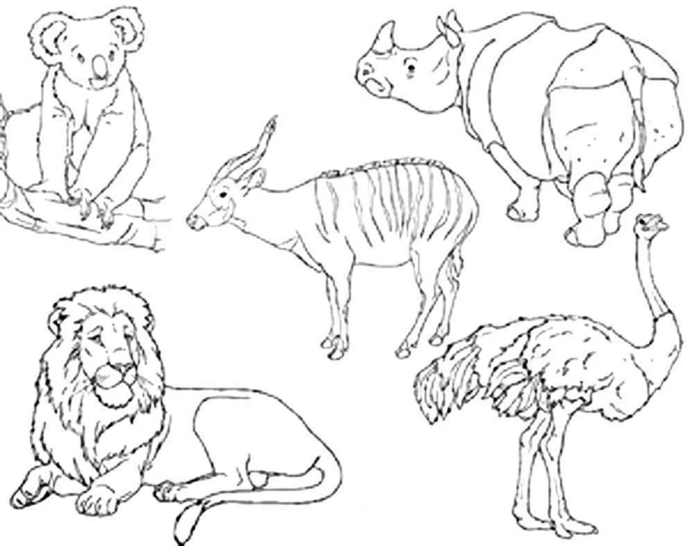 Tiere ausmalen