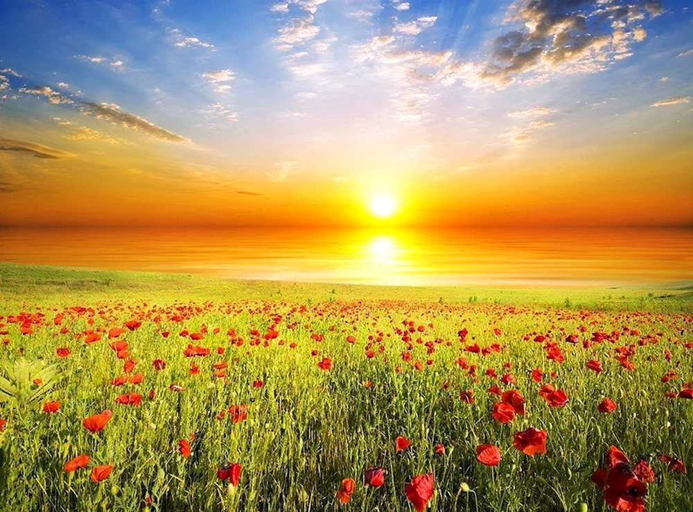 Schöner Sonnenaufgang