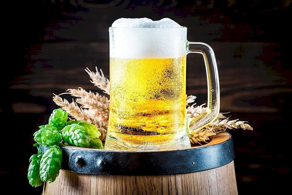 Biersnacks