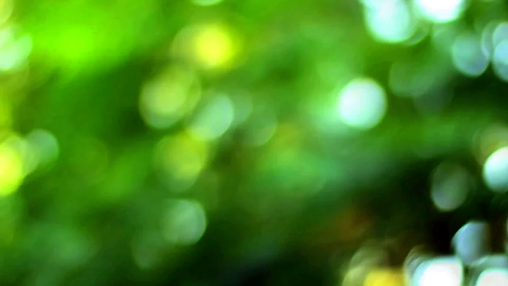 Unscharfer Hintergrund