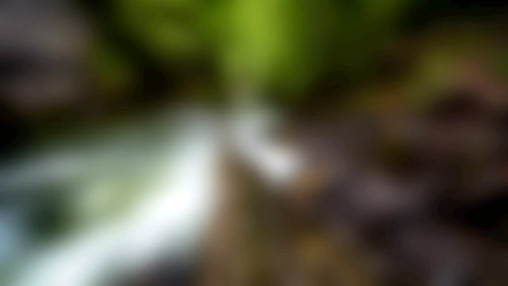Unscharfer Hintergrund Licht