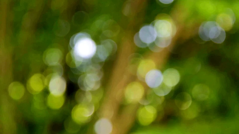 Unscharfer Hintergrund