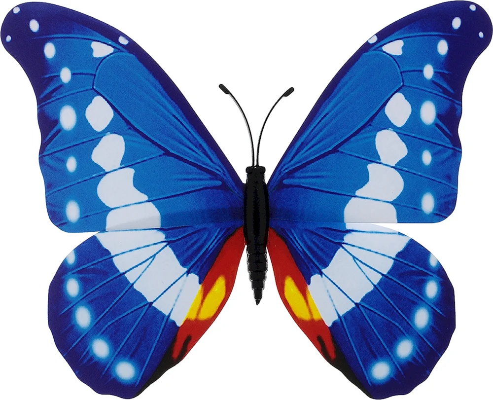 Bunte Schmetterlinge