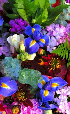 Bunte Blumen