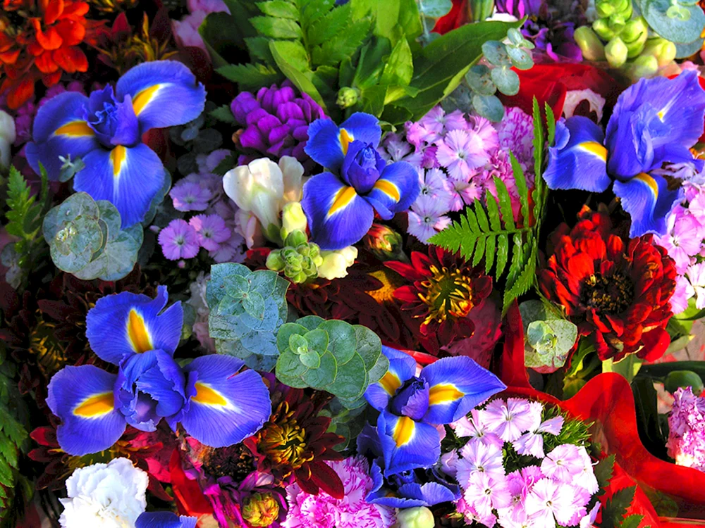 Bunte Blumen