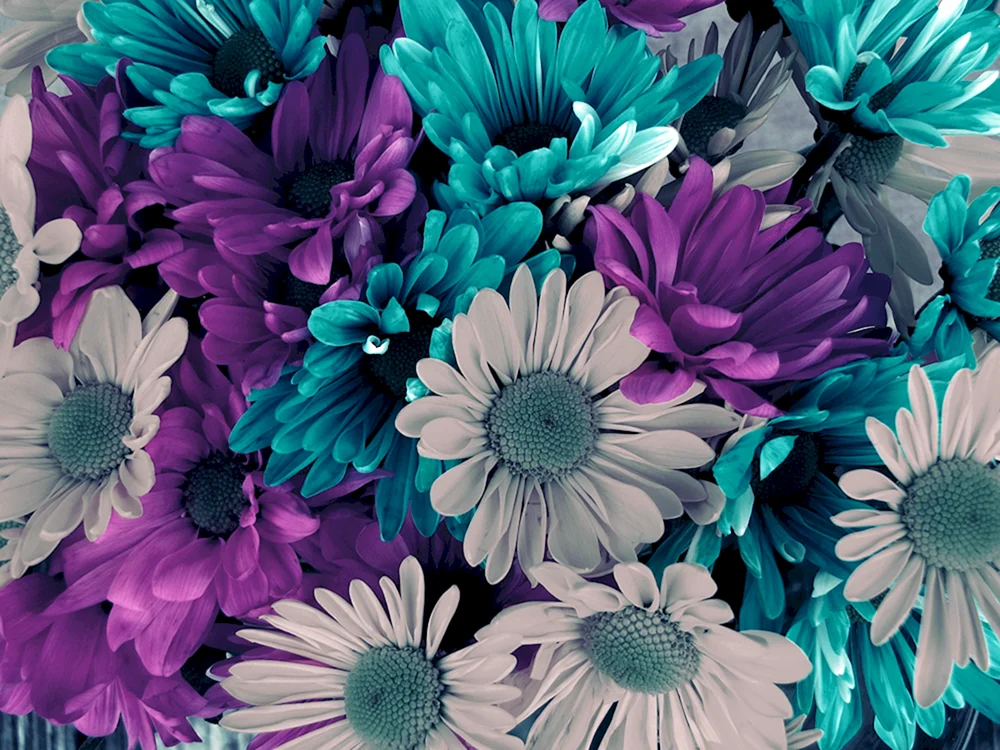 Helle Blumen