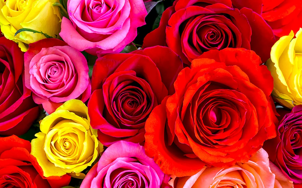 Schönes Blumenbouquet