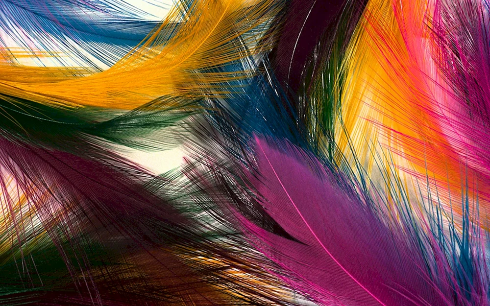 Lila Hintergrund