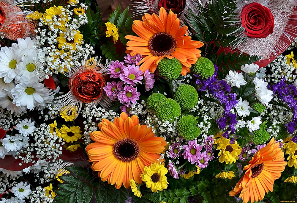 verschiedene Blumen