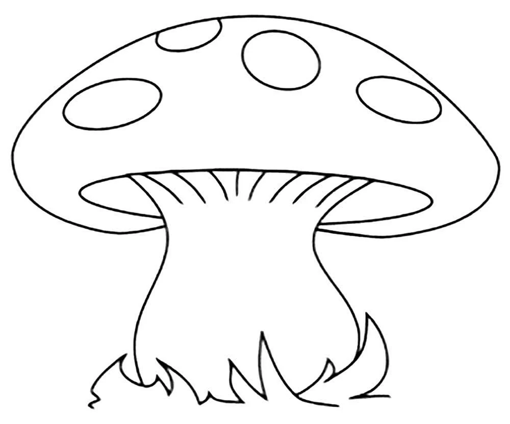 Fliegenpilz ausmalen