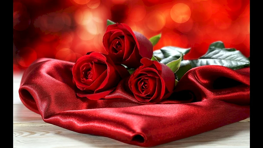Rote rote Rose