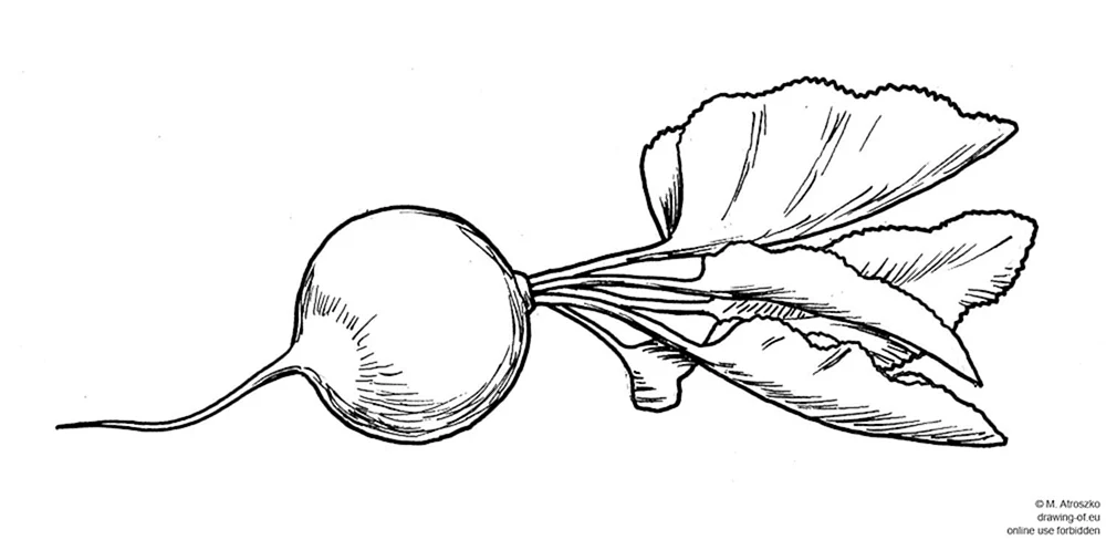 Rötlich färben