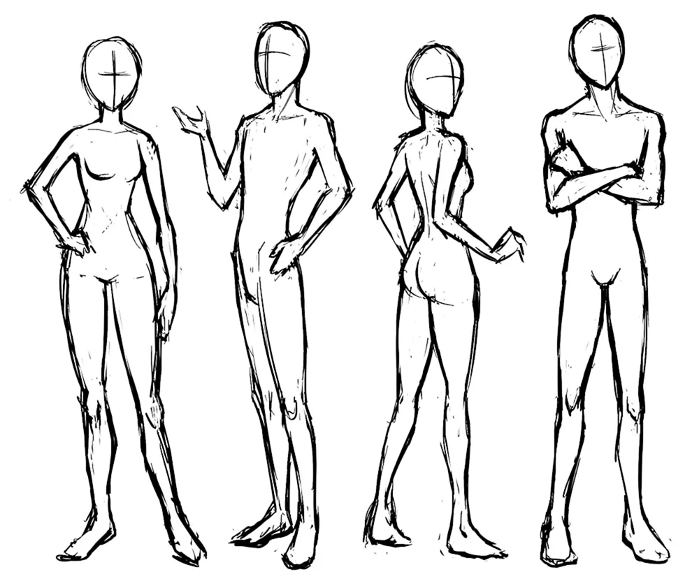 Männliche Anatomie Referenz