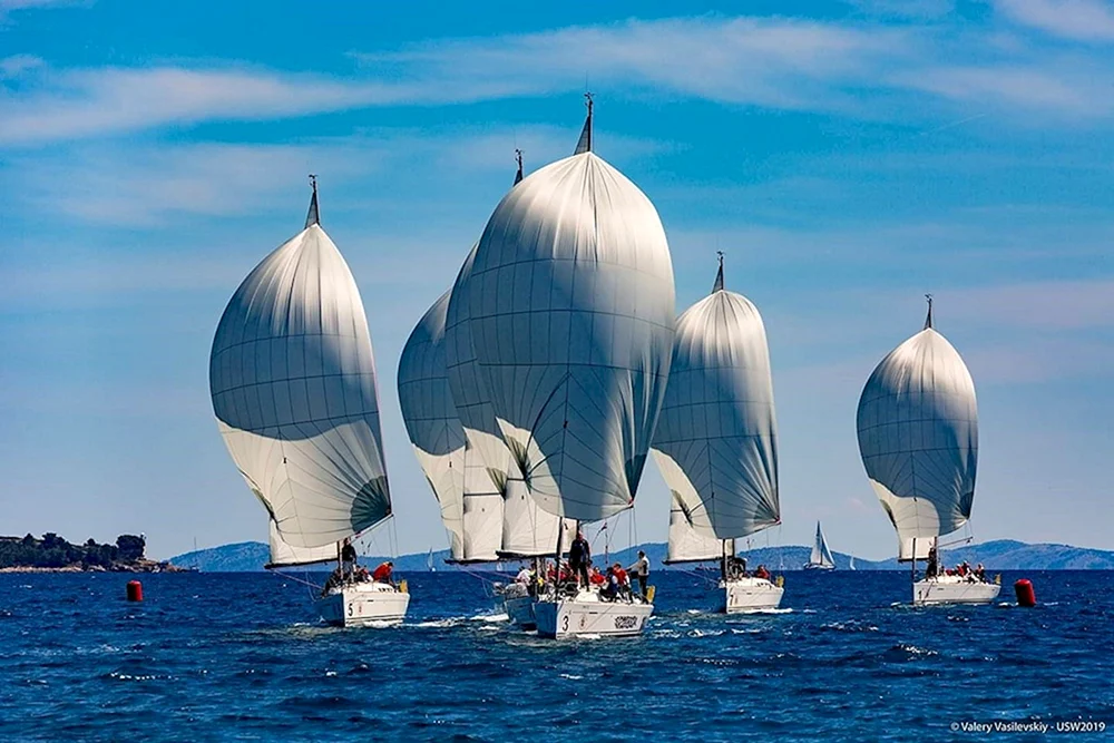 Yacht Regatta