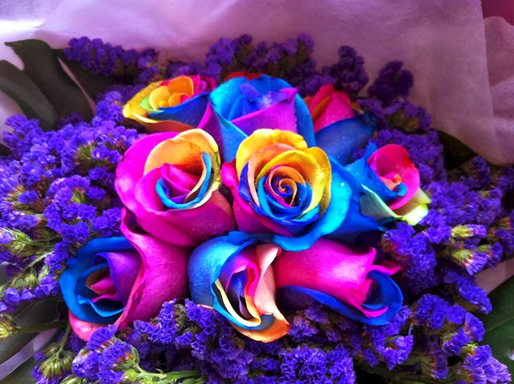 Rainbow flower.