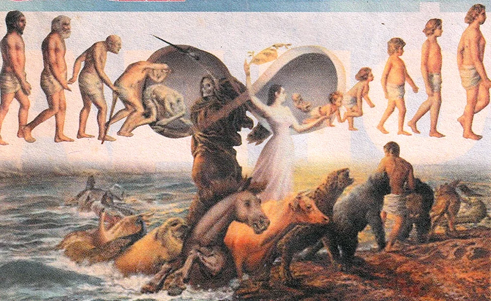Reinkarnationsbild