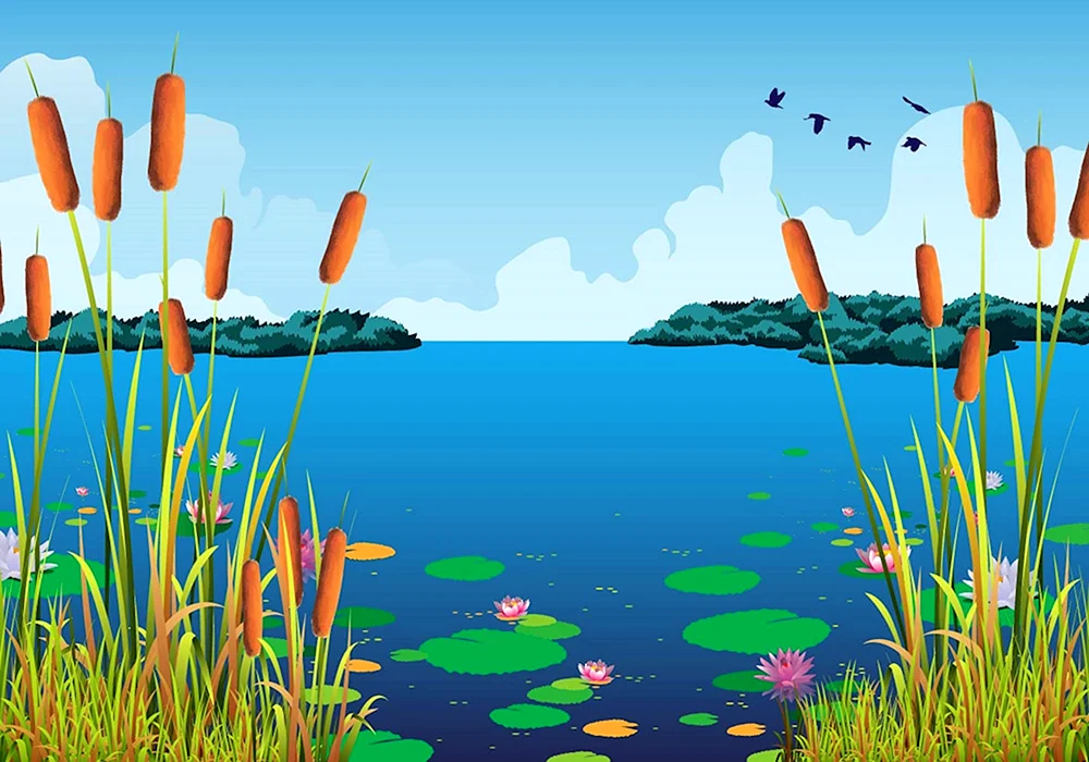 Fluss Schilf